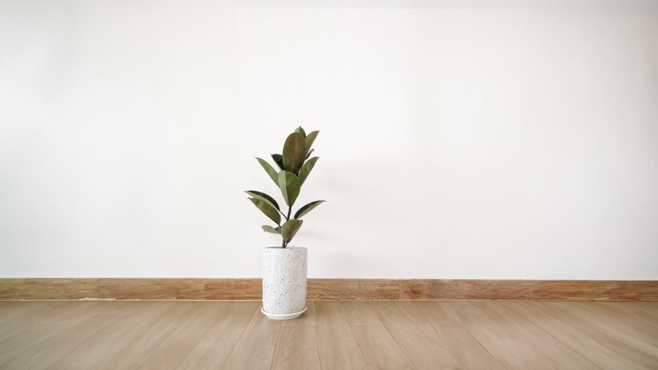 Minimalistisch interieur met vetplanten op plank. Minimalistisch interieur met vetplanten op plank.