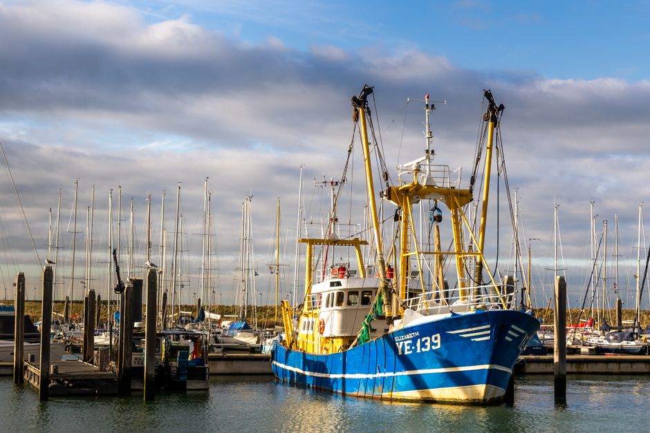 Maritieme kussens met zeilboot motieven. Maritieme kussens met zeilboot motieven.